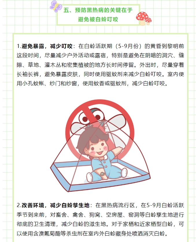 你了解小昆虫白蛉及其健康危害吗？