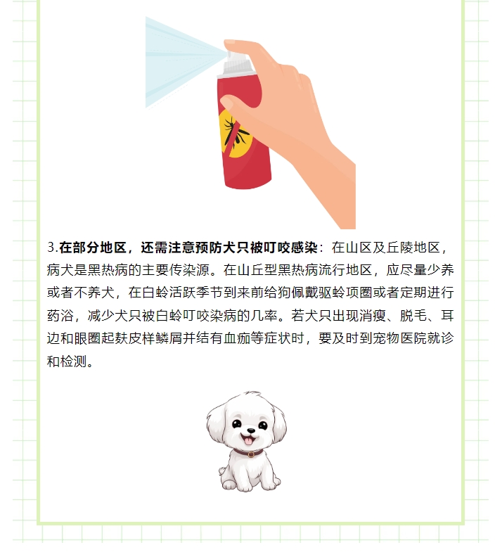 你了解小昆虫白蛉及其健康危害吗？